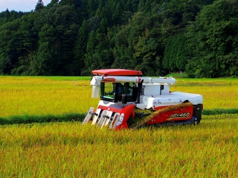 岩村町で作るお米