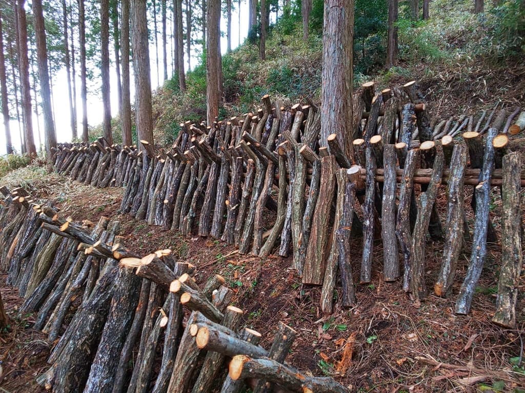 原木栽培きのこ ぜんちゃんふぁーむ 岐阜県恵那市岩村町にある観光農園 原木栽培きのこ ぜんちゃんふぁーむ 岐阜県恵那市岩村町にある観光農園